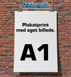 Plakat billede A1-450